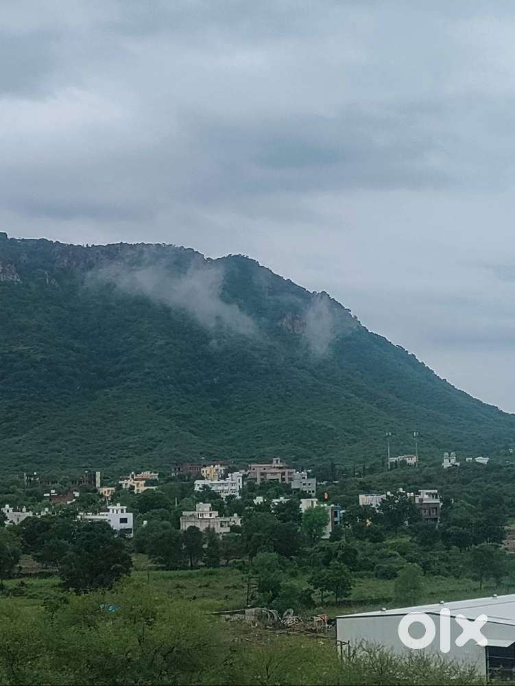 Retail laundry: pressing man