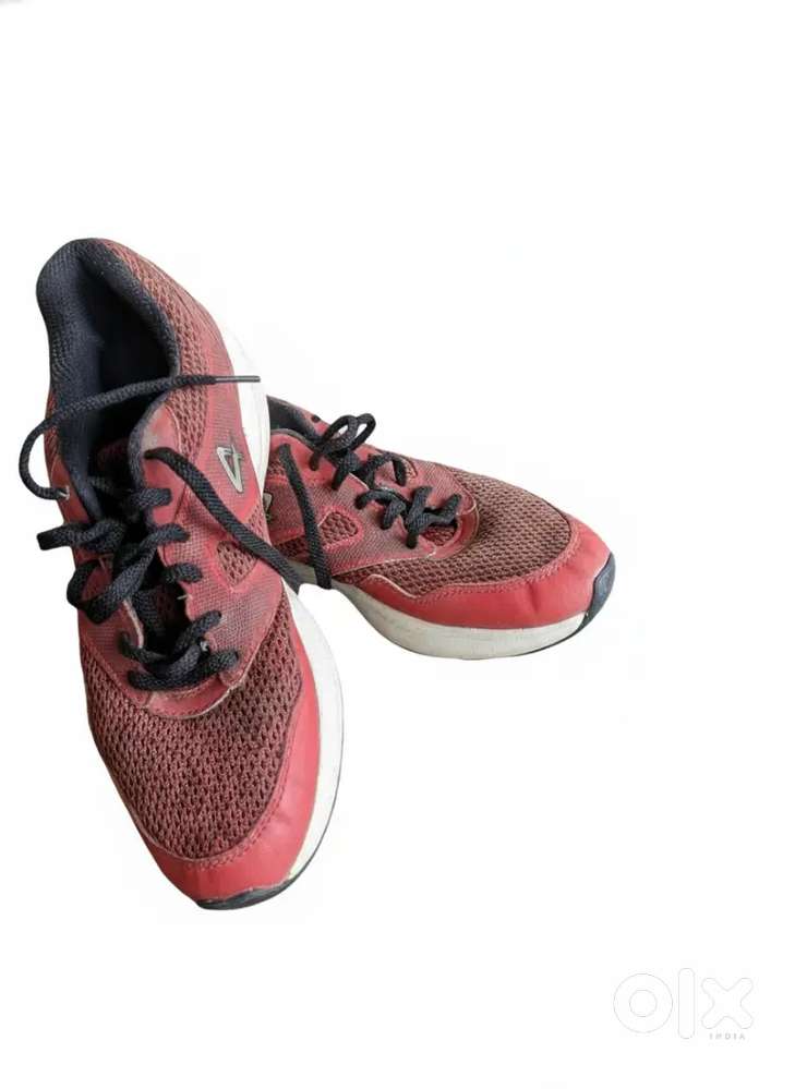 Sega sports shoes for runing and wearing in fashion