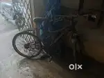Cycle for sell