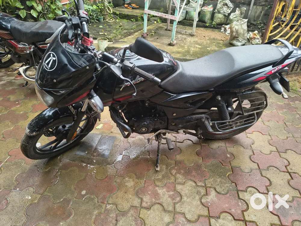 Pulser 125 2024 edition new condition
