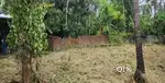 LAND FOR SALE (സ്ഥലം വില്പനക്ക്)