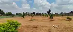 Urgent Sale Low Budget Farmland Sale in Othakaalmandabam