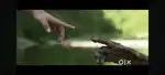 കുമ്പളങ്ങിയിൽ 5 സെന്റ് സ്ഥലം വില്പനയ്ക് പഞ്ചായത്തിന് സമിപം
