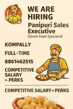 Panipuri Sales Executive (Street Food Specialist)  Job Description