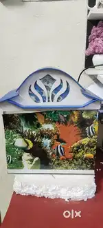 Aqurium with stone and filter machine