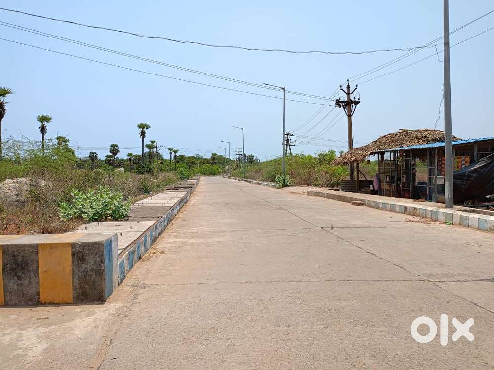 Best Investment Property : Surrounded by Houses : Paravada