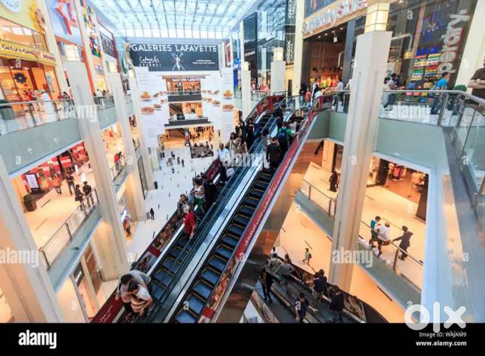 Data entry job nearby City Mall Guard