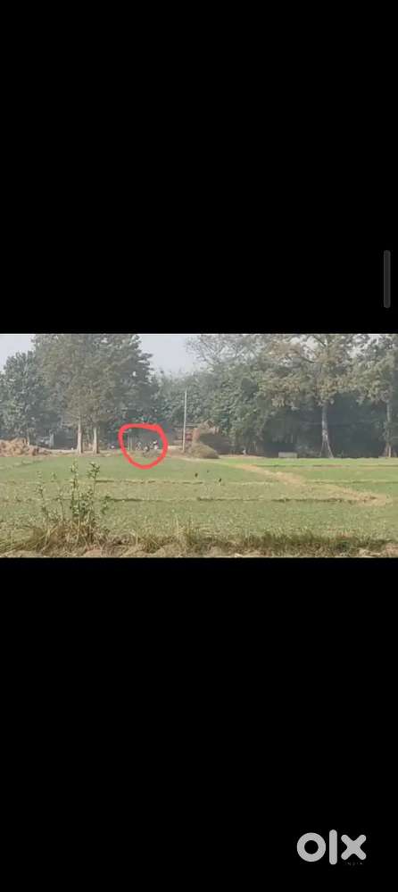 Polt vai khat hai.4 katha