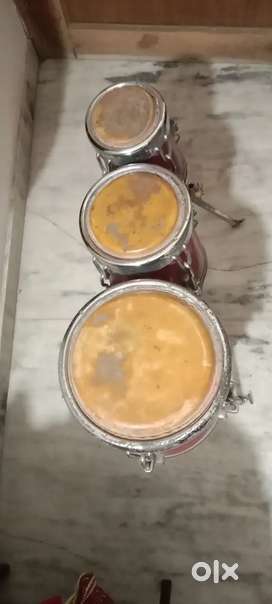 Congo bongo