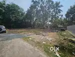 5 cents house plot for sale in Thiruvankulam, near Kureekad