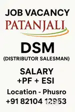 Distributor Salesman