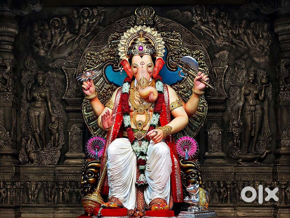 Office cordinator for International courier services