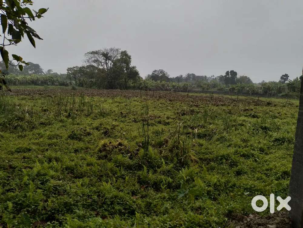 Farm house for sale.