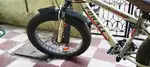 Cycle with big tyre