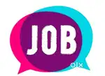 Need field executive for data collection and verification job