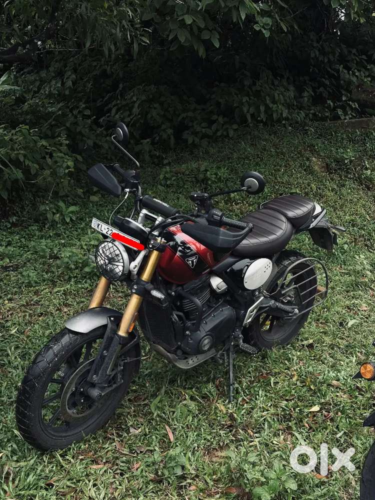 Triumph Scrambler 400x - 2024