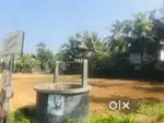3 Km From Guruvayur Temple