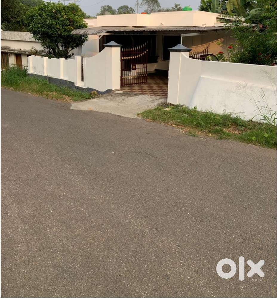 10 cent plot and old house for sale on Kavumpady-Thannikkapady Rd