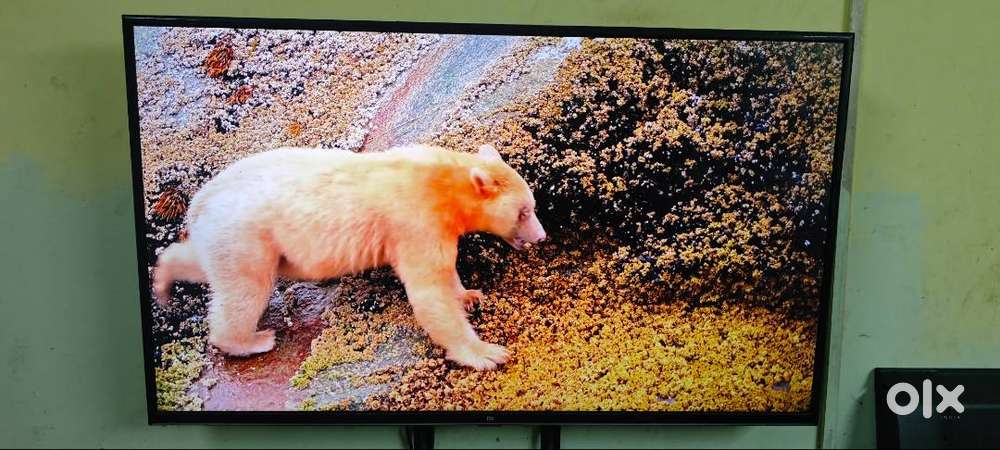 Mi 43 inch