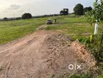 Open plot near amazon