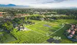 Not selling - Looking for a plot