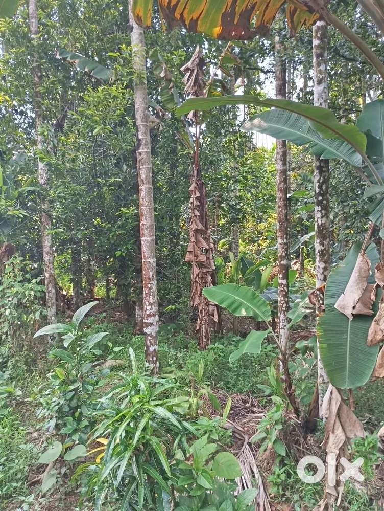 10 cent rectangle plot