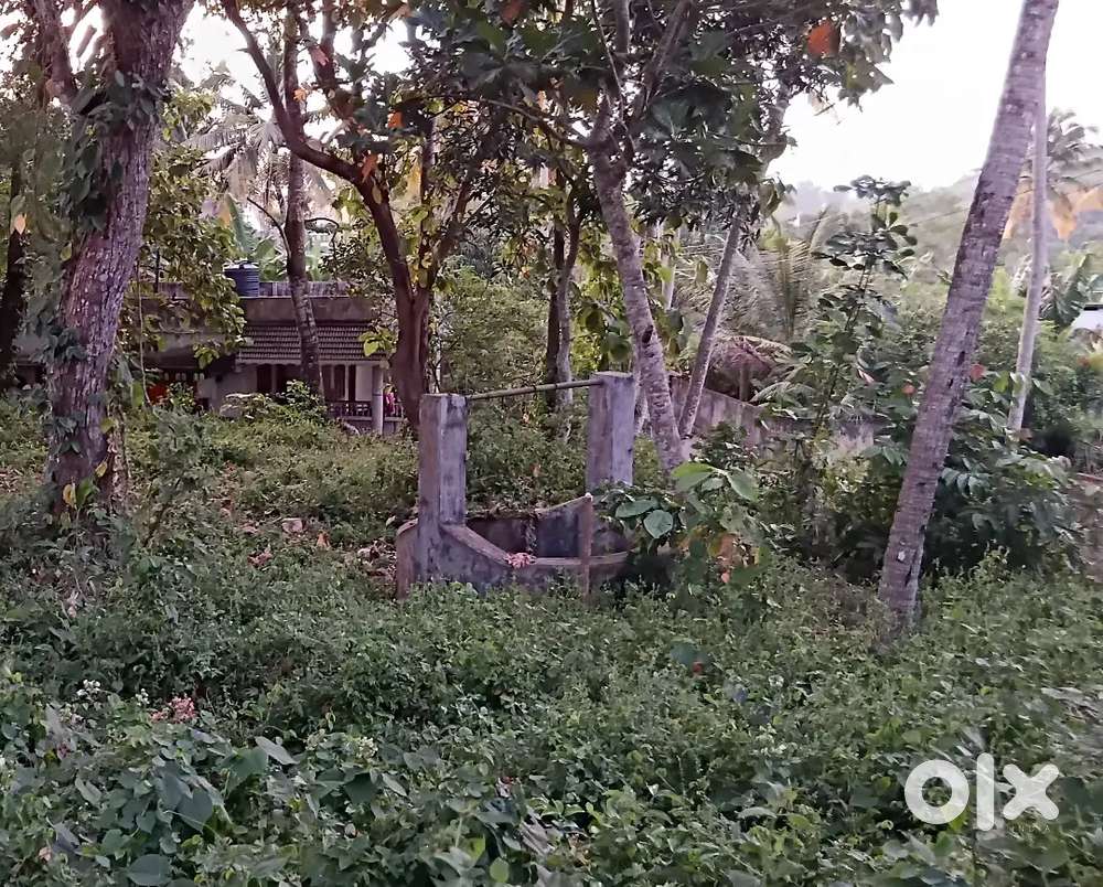 10 cent sreekariyam njandoorkonam