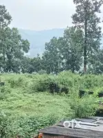 Plot in excellent mountain and forest view upper pondha premnagar