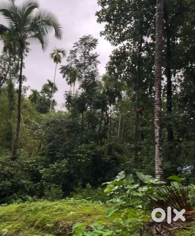 House and plot for sale