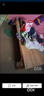 New  bedbugs