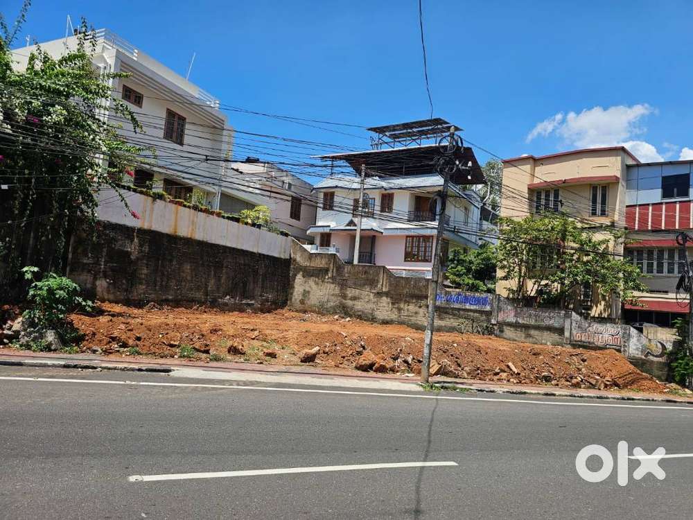 Commericial road side property at sasthamangalam