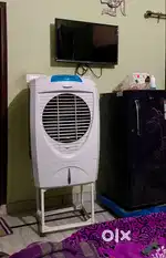 Symphony cooler for sale