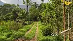 Urgent Urgent sale: Land and house 1acre 55 cent Land and 3bhk house