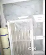ओरिजिनल सागवानी