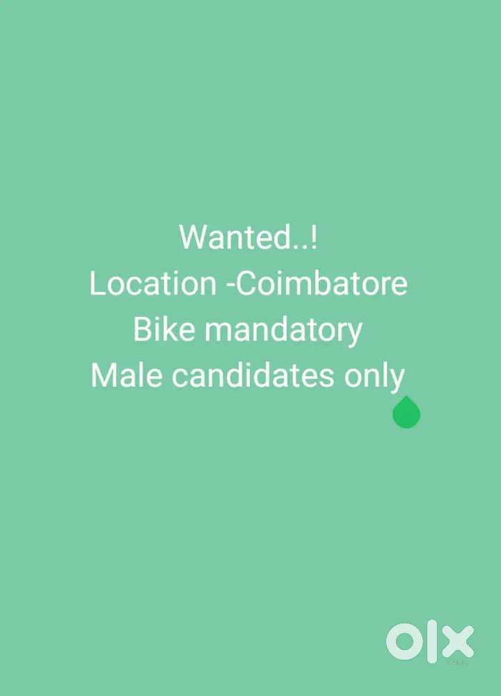 Collection Executive