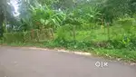 Plot for sale near karimulackal junction