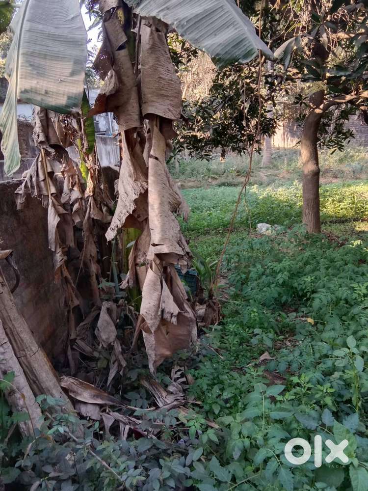 Land at Kuarmunda, Rourkela, Odisha