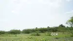 Alampatti land
