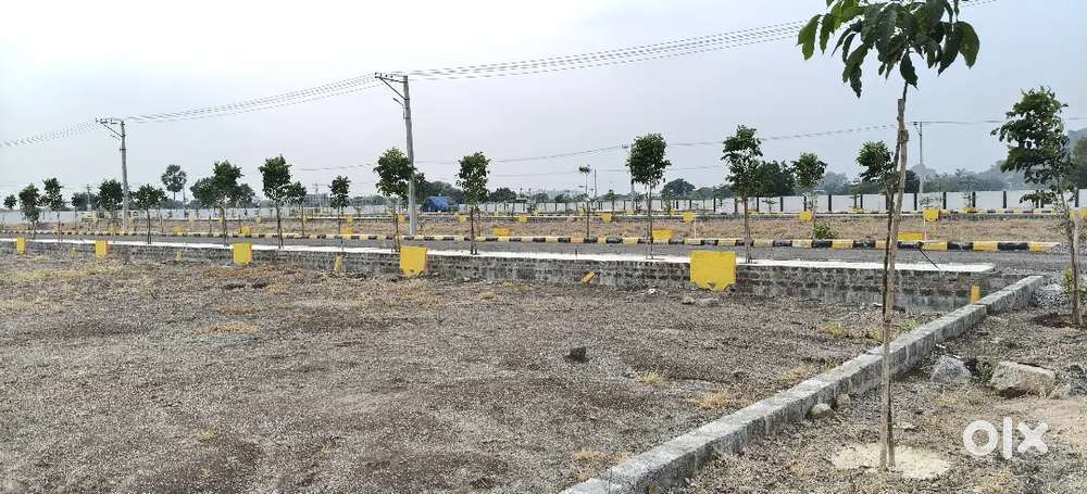 AP CRDA APPROVED Open Plots For Sale In Thadikonda Pooling Area