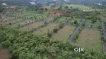 Oriyan Classic Meadows