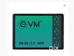 EVM ssd 256 gb
