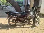 Honda shine 125 cc