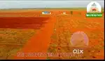 Red Sandal Agriculture Land for sale