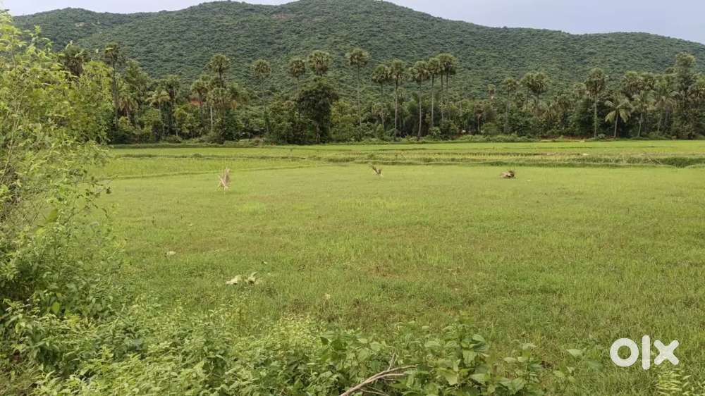 VIZAG MIDHILAPURI COLONY 167SQY