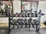 Full gym equipment