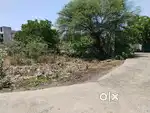 3- ADJACENT PLOTS FOR SALE @ WHOLESALE RATE | DEHANKAR LAYOUT