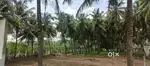 1acre Agri land for Sale in Sulur.