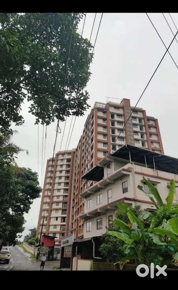 “Single bed in 2 sharing room” (female)