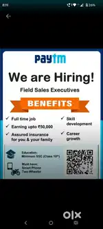 Sales executive