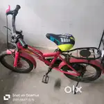 Champ kid bycycle